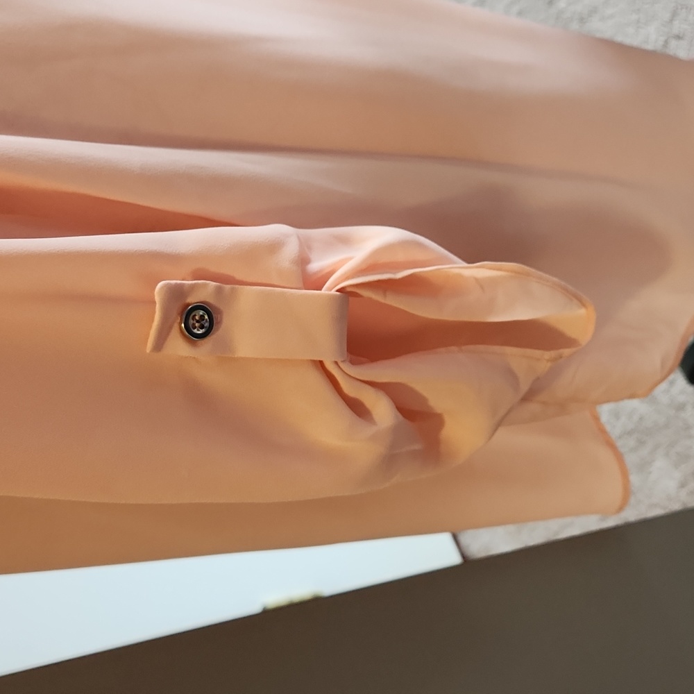 Decree Sheer Peach Blouse, XL - Picture 6 of 10
